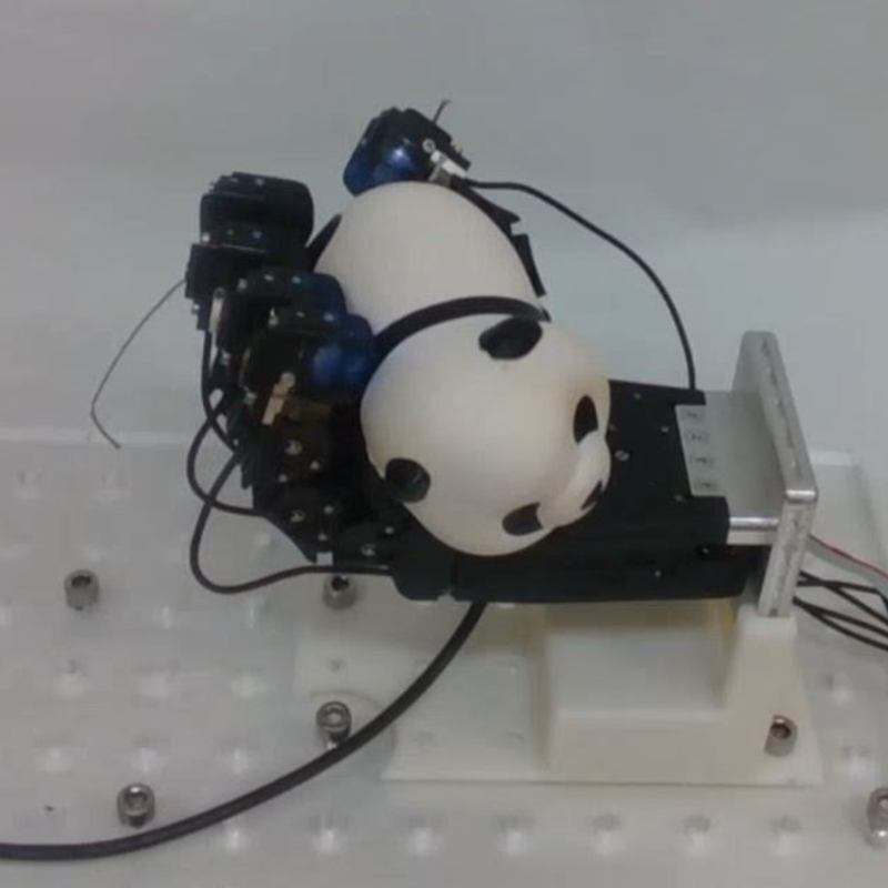 Robot hand with tactile skin integrated into the fingertips, using the tactile sense to delicately hold an object. Christopher Ford and Nathan Lepora.