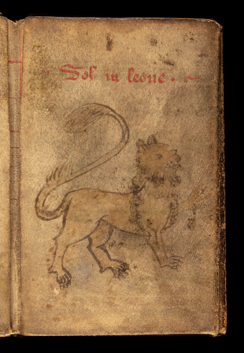 Orpiment yellow lion from Royal Society MS/45