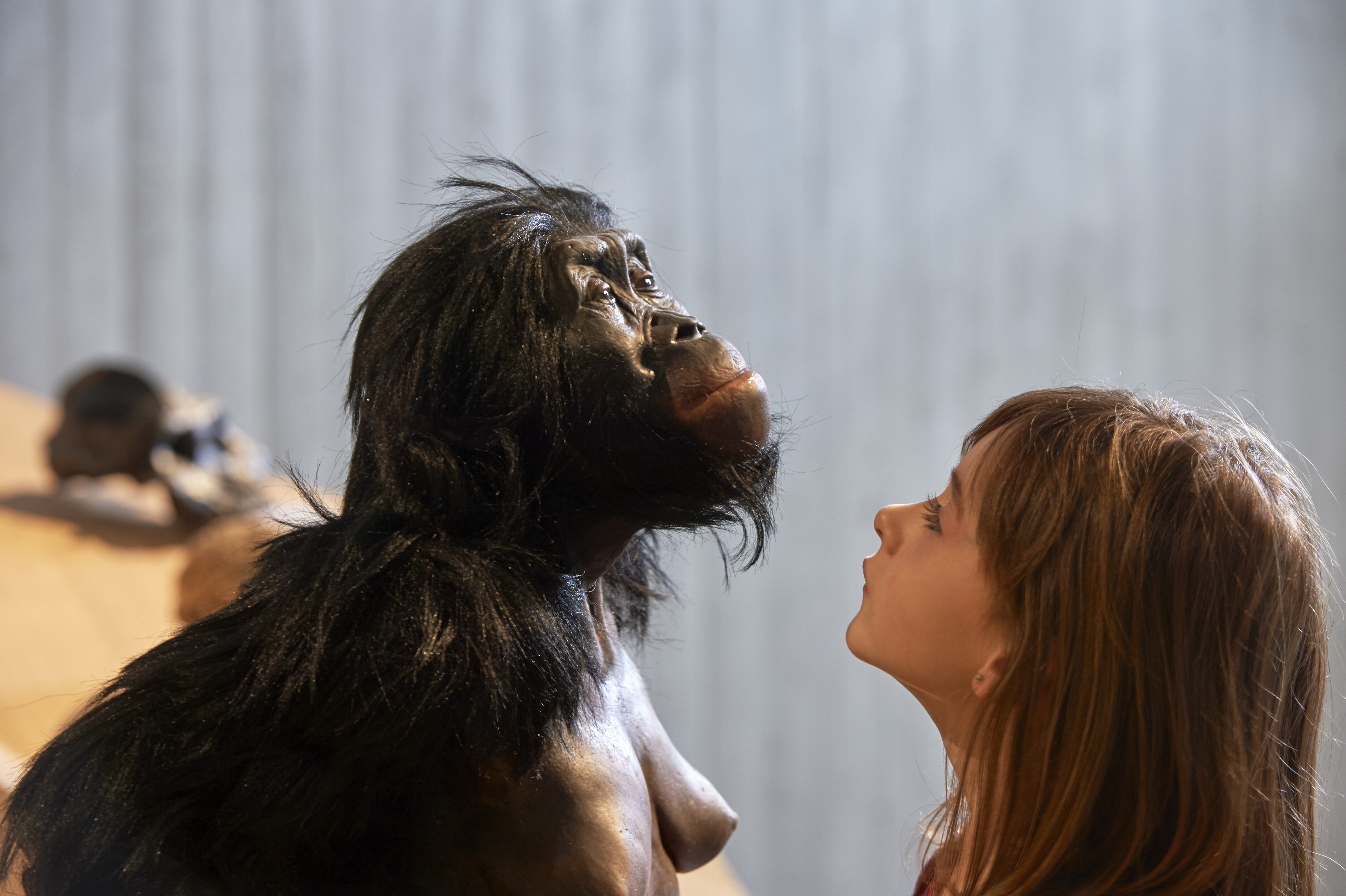 Living reconstruction of an Australopithecus afarensis