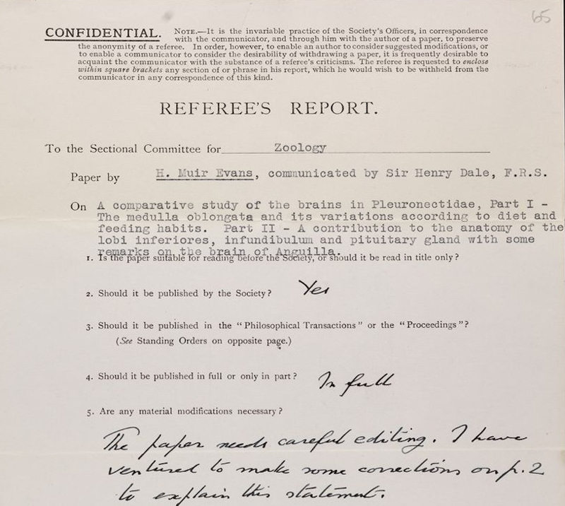 Royal Society Referees' Report RR/59/65 (detail)