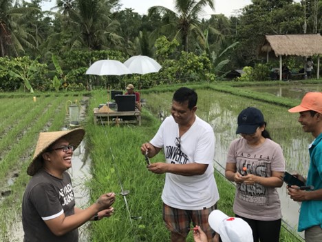 Dr Alit Arthawiguna and a team of Balinese agricultural researchers investigate ways to reduce greenhouse gas emissions from rice paddies in Subak Bene, using traditional methods of collective irrigation management