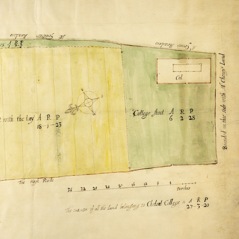Plan of Chelsea College lands granted to the Royal Society in its third Charter (detail)