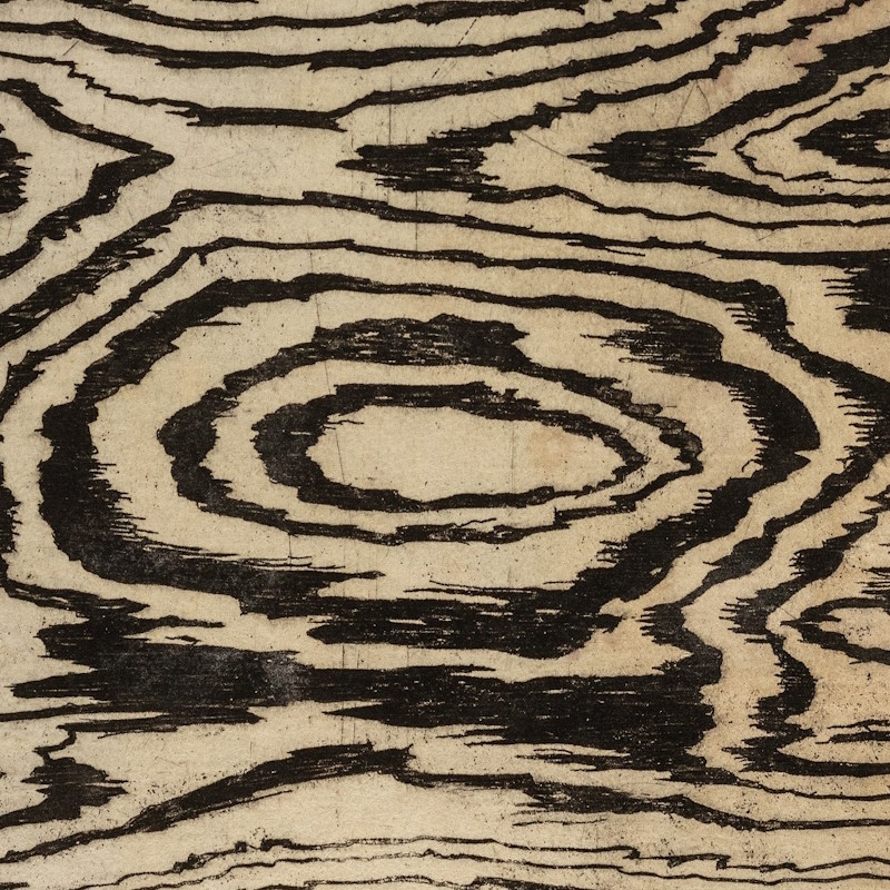 Fossilised wood, from Francesco Stelluti’s 'Trattato del legno fossile minerale', 1637 (detail)
