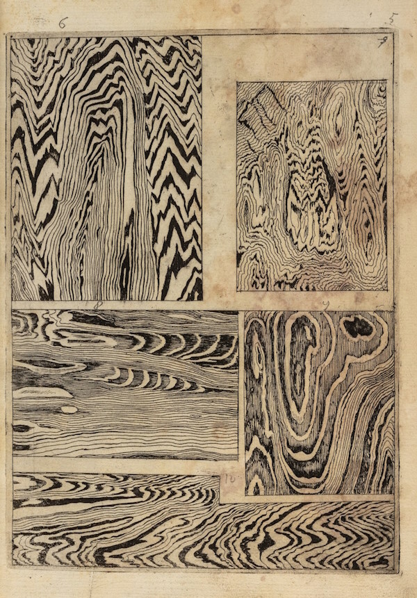 Fossilised wood, from Francesco Stelluti’s 'Trattato del legno fossile minerale', 1637