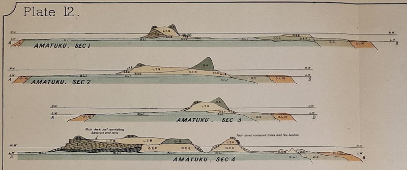 Sections from the geological survey of the islands of Funafuti