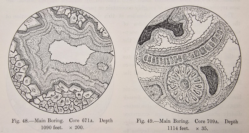 Microscopic observations of core samples from the 1898 Funafuti expedition