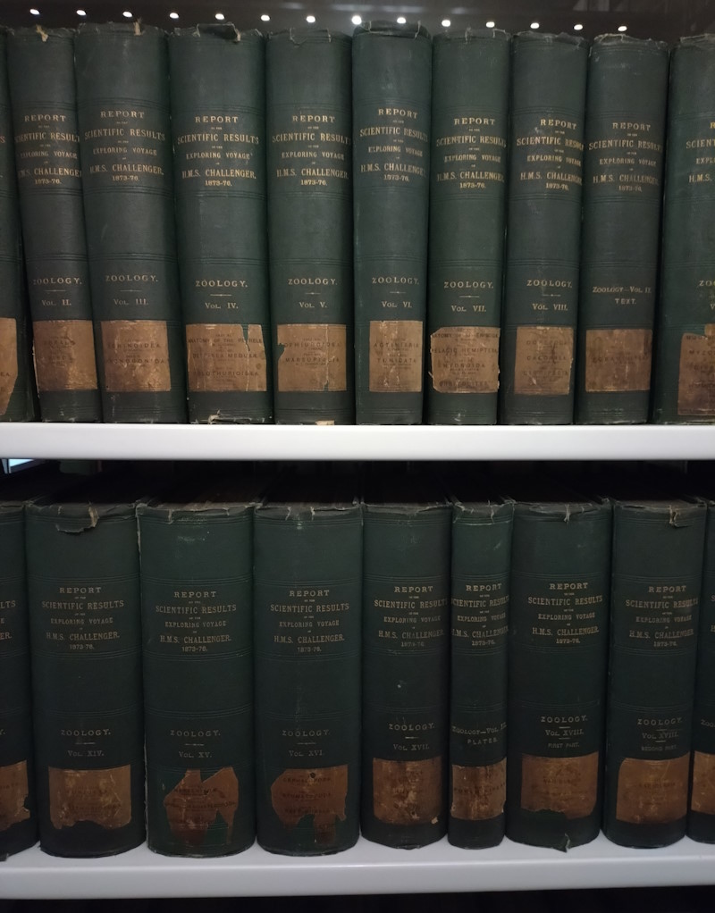 Challenger report volumes in the Royal Society Library