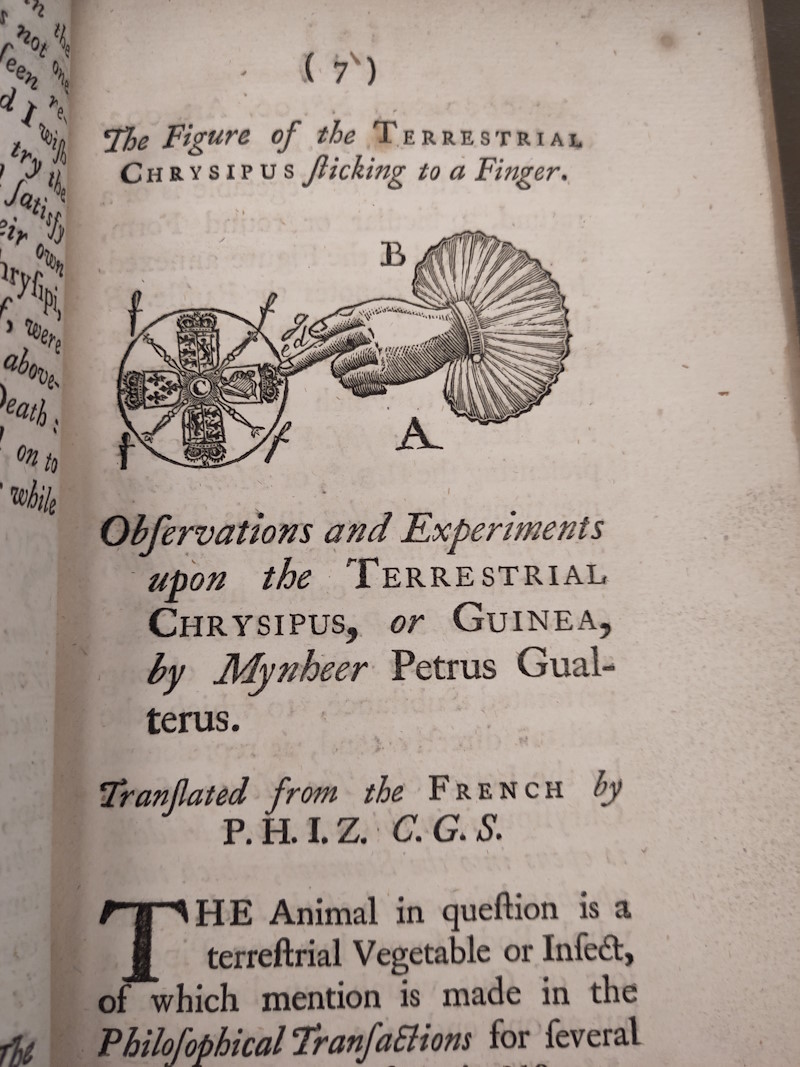 Page from Peter Walter 'Some papers ... concerning the terrestrial chrysipus' (1743)