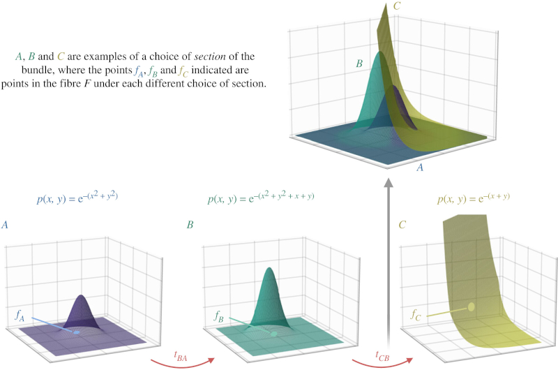 llustration of fibre bundles, sections and transformations. https://doi.org/10.1098/rsfs.2022.0029 