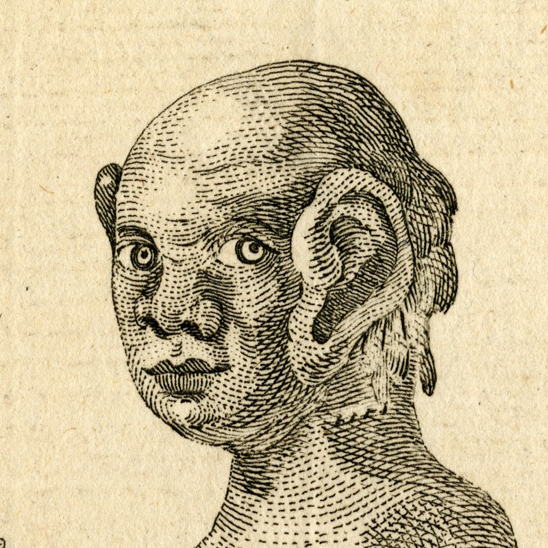 Engraving of a 'mermaid' by Benjamin Cole, 1759 (detail)