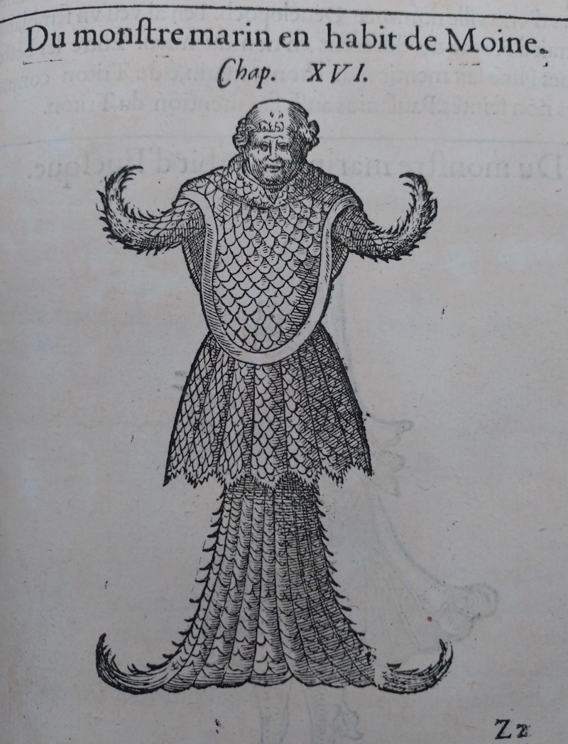 A 'sea monster in a monk's habit’ by Guillaume Rondelet, 1558