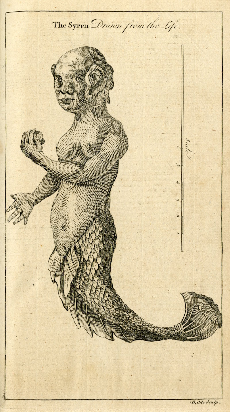 Engraving of a 'mermaid' by Benjamin Cole, 1759