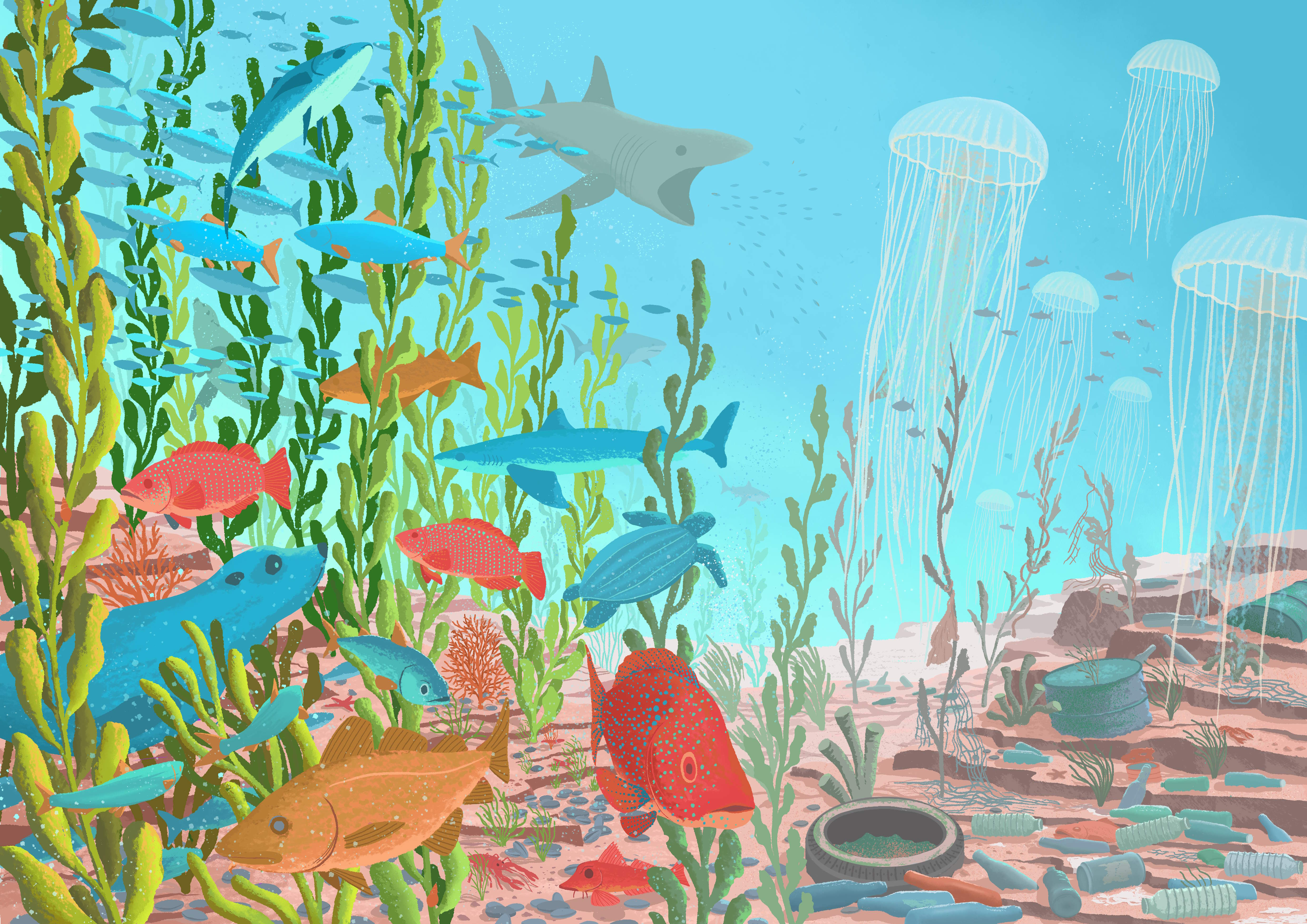 Humans have placed huge pressure on the oceans over recent decades. The diversity and abundance of ancient seas eclipse the degraded state of modern ecosystems. Depictions of ancient oceans, shown here on the left, can fill us with deep sadness and loss but also a sense of hope and purpose to transform and restore today’s degraded oceans, shown here on the right, back towards a flourishing healthy state. Illustration by Jacek Matysiak.