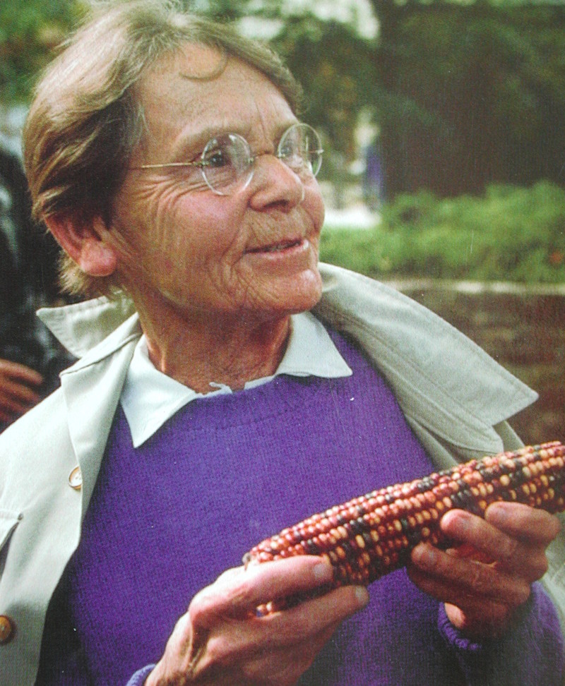 Barbara McClintock (Wikimedia Commons, Cristian472735, CC BY-SA 4.0)