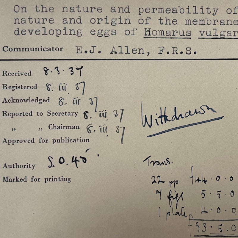 Royal Society Referees' Report RR/W/5/51 (detail)