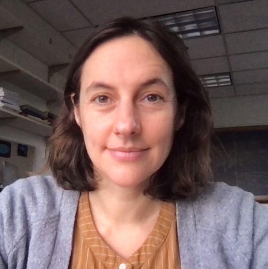 Professor Marilena Loverde, University of Washington, USA 