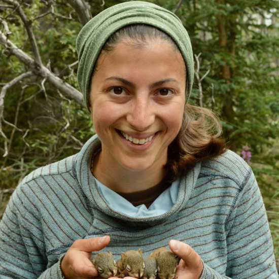 Dr Erin Siracusa, University of Exeter, UK