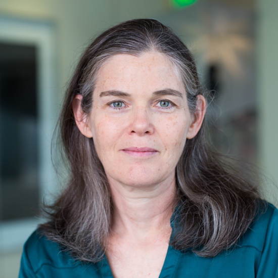 Professor Daphne Koller