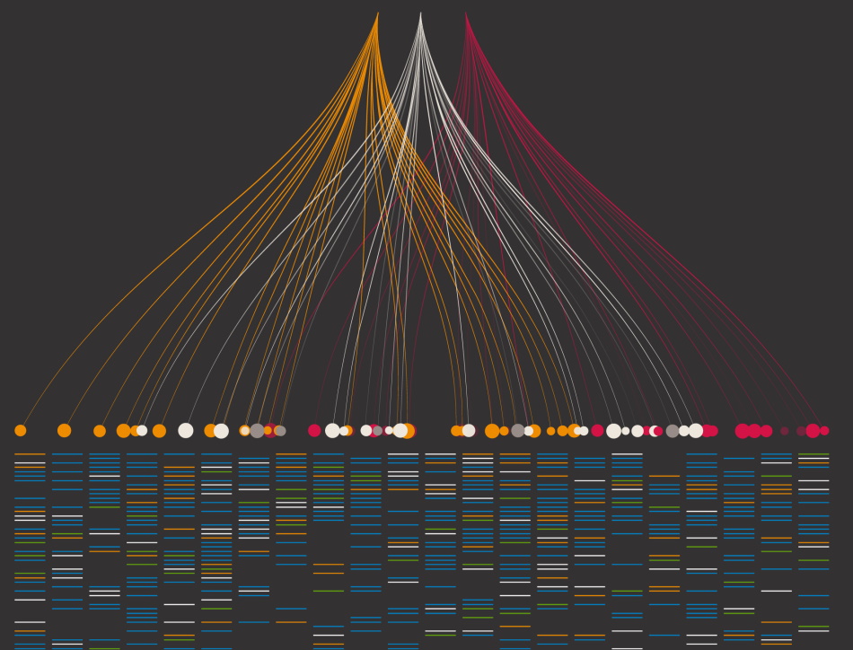 human genome landmarks sections