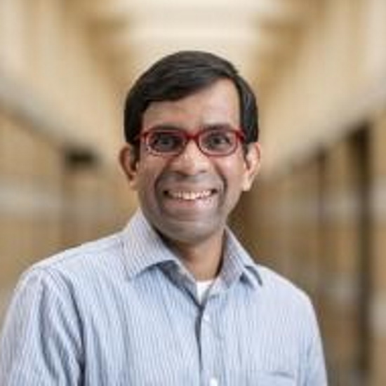 Kaushik Sunder Rajan