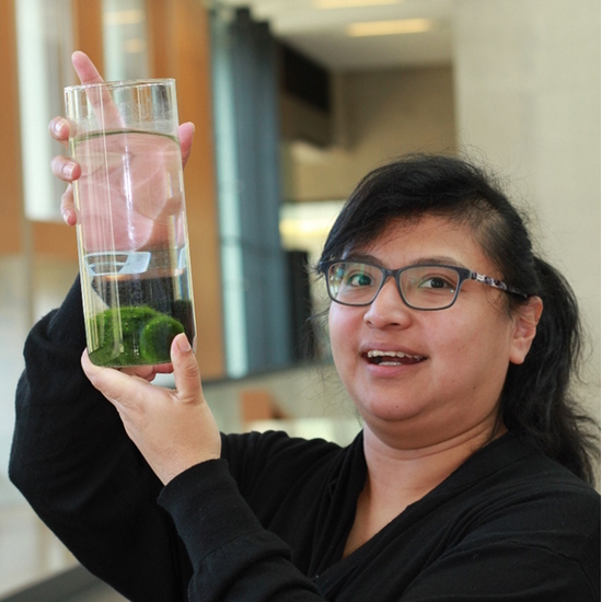 Dr Dora Cano-Ramirez, Sainsbury Laboratory, University of Cambridge, UK