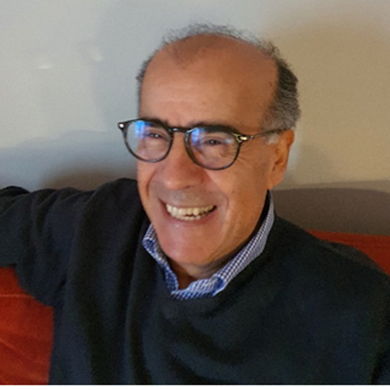 Professor M.-Saadeh Suleiman, Bristol Medical School, Bristol University, UK 