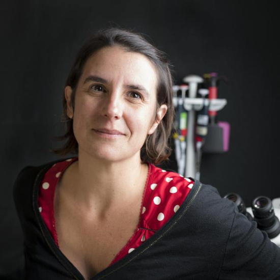 Professor Soizic Prado, National Museum of Natural History, France 