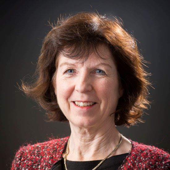 Professor Susan Michie FMedSci