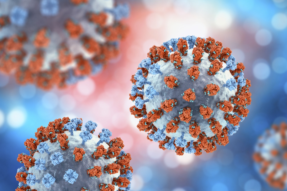 Glycans modulating immune response to flu virus