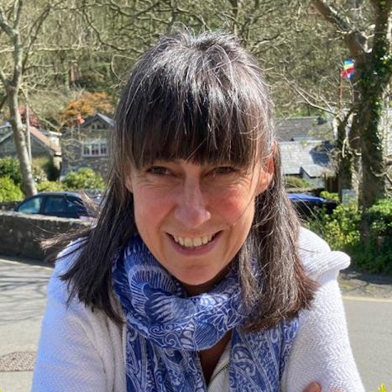 Professor Sofia Consuegra