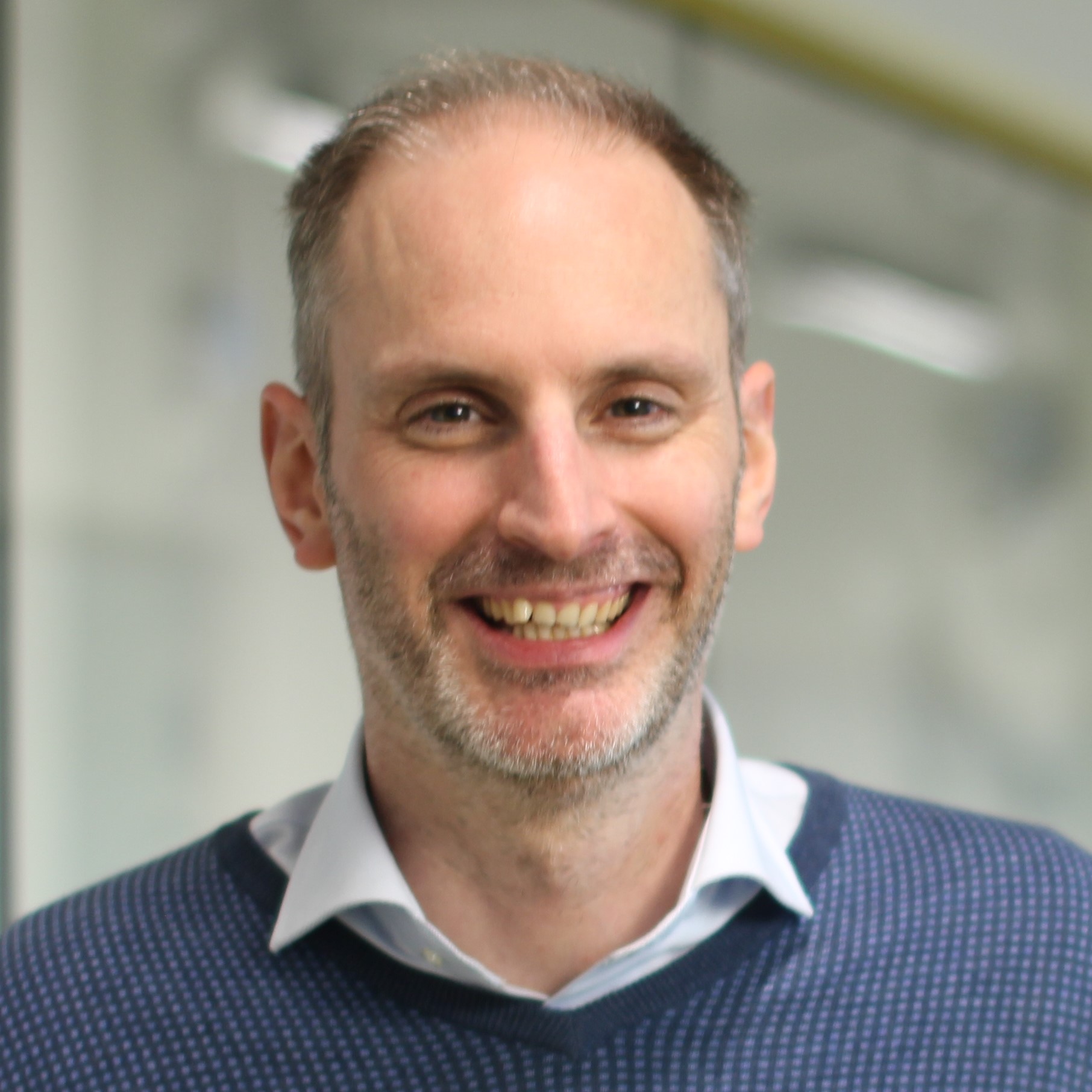 Professor Koen Vandewal, Hasselt University, Belgium