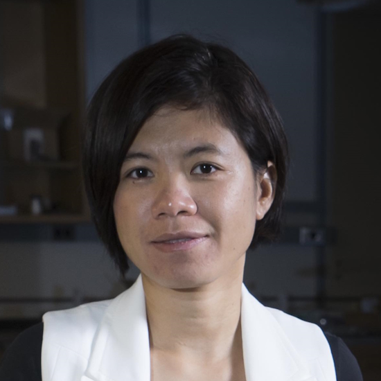 Dr Libai Huang, Purdue University, USA