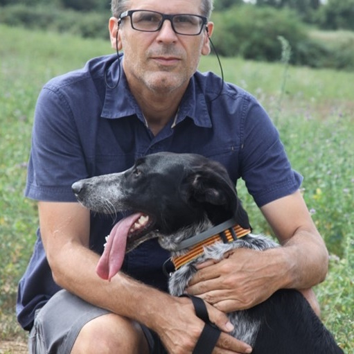 Professor Daniel Sol, IBE, Spain