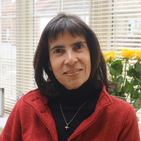 Professor Ana Cavalcanti