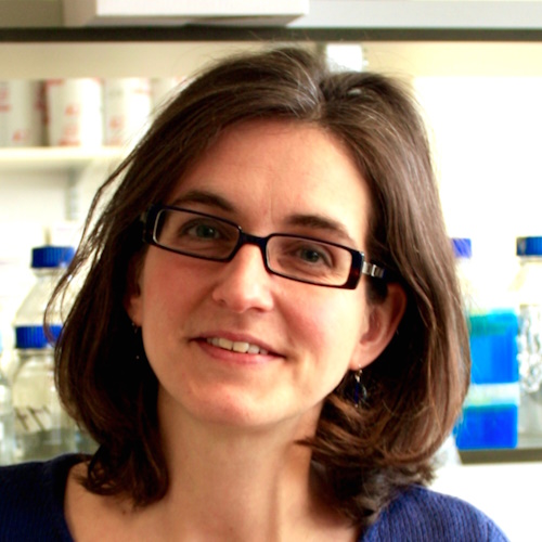 Professor Stineke van Houte, University of Exeter, UK