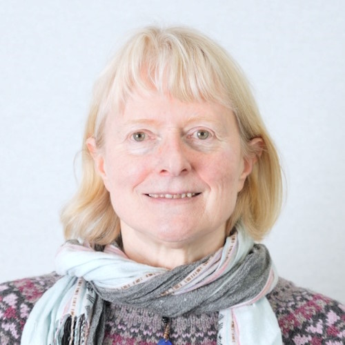 Professor Vivien Kendon, University of Strathclyde, UK