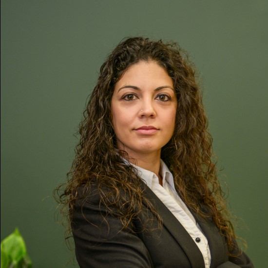 Dr Araceli Venegas-Gomez