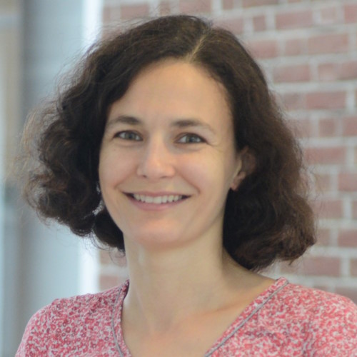 Associate Professor Hélène Seroussi