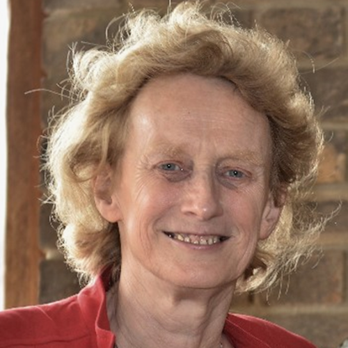 Professor Dame Athene Donald DBE FRS