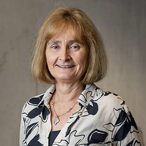 Professor Michele Dougherty