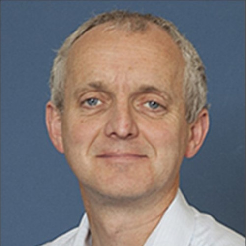 Professor Michael Bentley