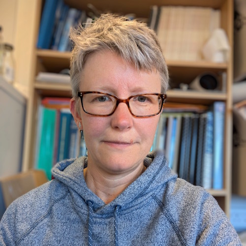 Professor Sarah Woodroffe