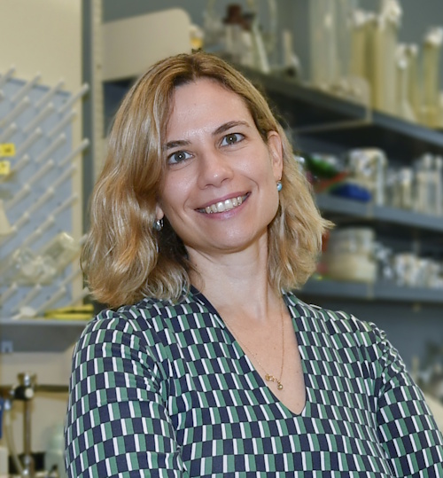 Dr Patricija van Oosten-Hawle