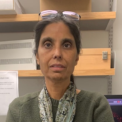 Professor Veena Prahlad