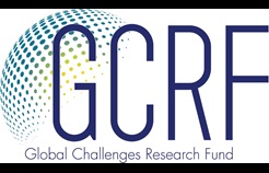 Global Challenges Research Fund logo