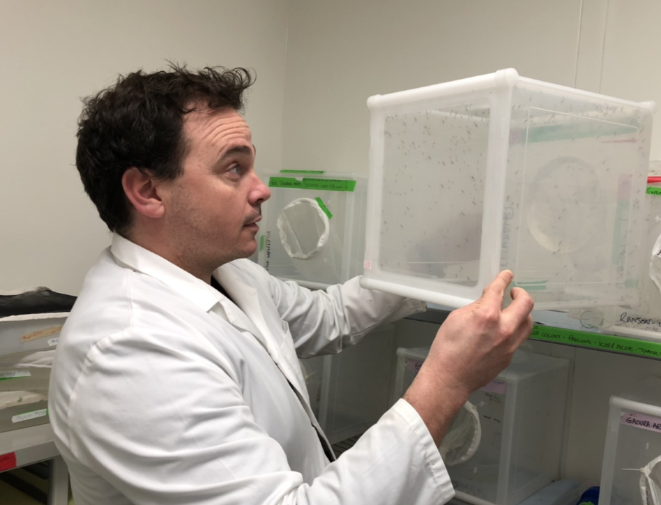 Professor Grant Hughes