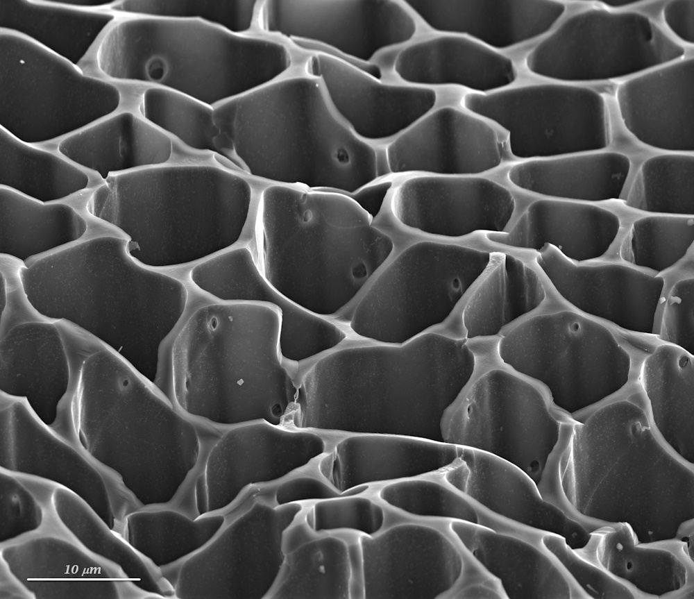 The porous surface of carbon.