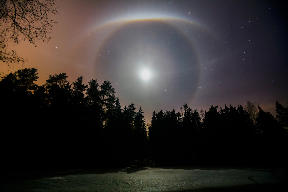 Lunar halo over the night forest lake.