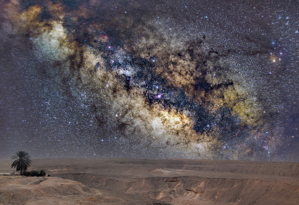 The Milky Way Galaxy