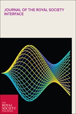 Interface Volume 19 Issue 193